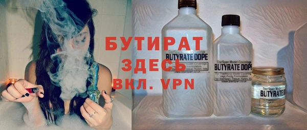 молекула духа Вяземский