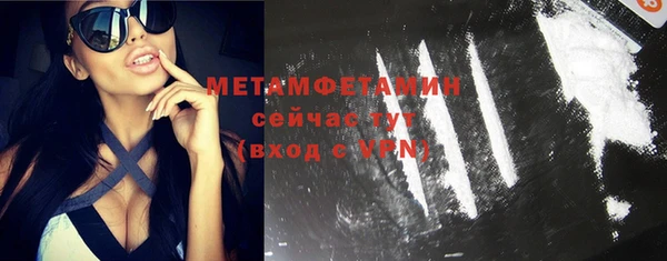 молекула духа Вяземский