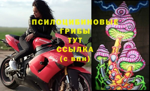 молекула духа Вяземский
