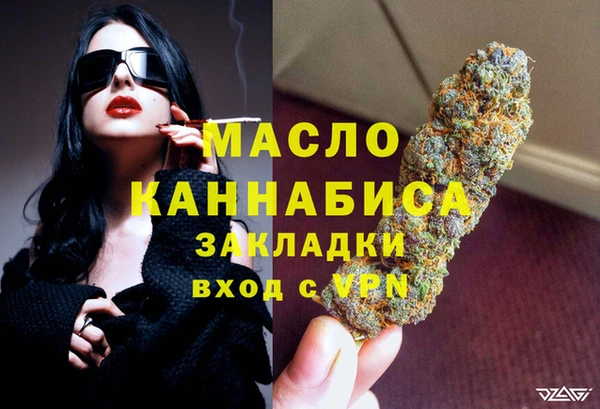 молекула духа Вяземский