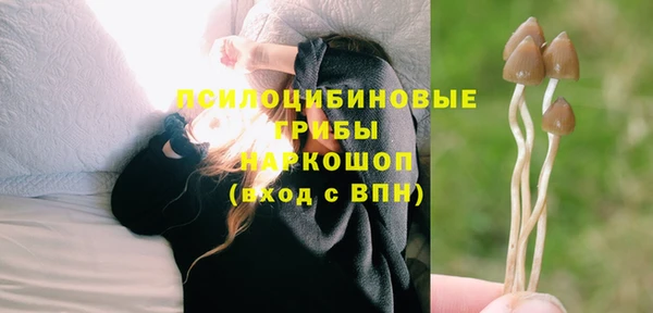 2c-b Вязьма