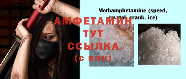 молекула духа Вяземский