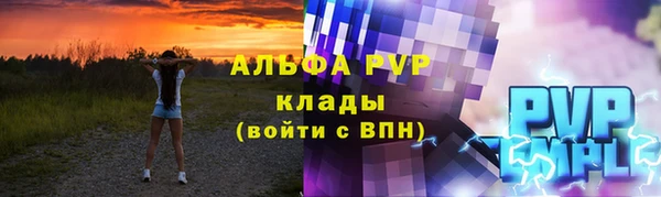 молекула духа Вяземский