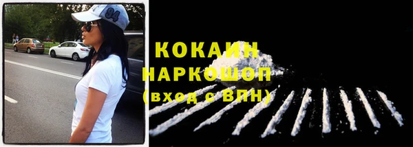 молекула духа Вяземский