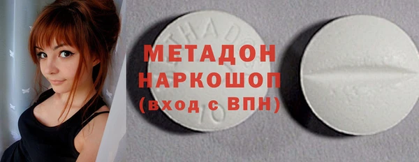 молекула духа Вяземский