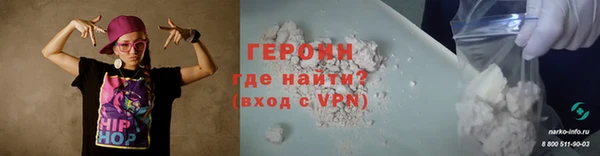 молекула духа Вяземский