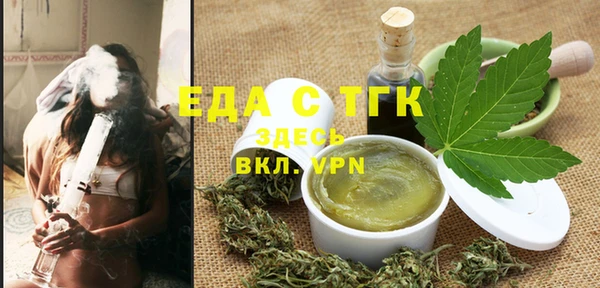 молекула духа Вяземский