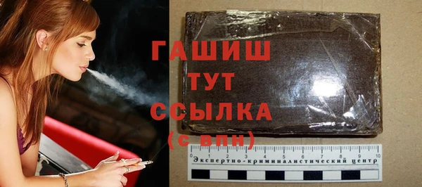 молекула духа Вяземский