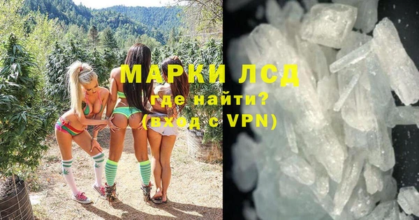 молекула духа Вяземский