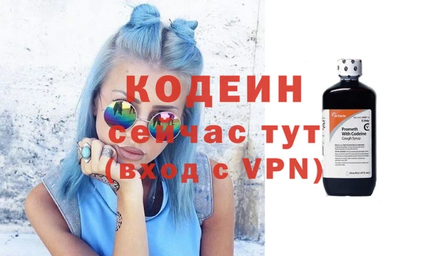 молекула духа Вяземский