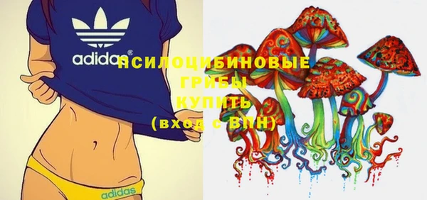 молекула духа Вяземский