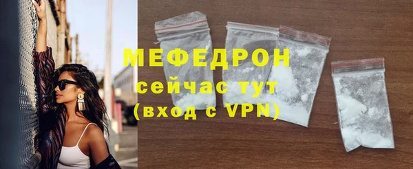 молекула духа Вяземский