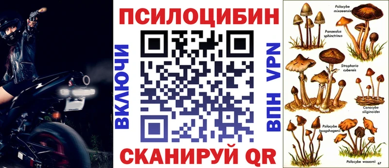 Галлюциногенные грибы GOLDEN TEACHER  магазин продажи   Сургут 